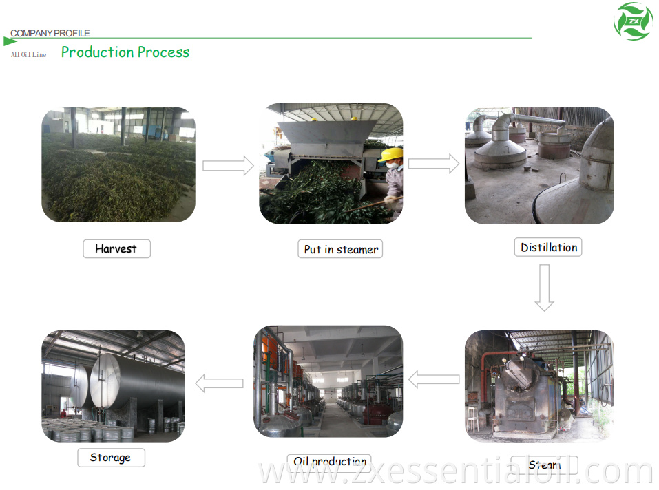 Organic Watermelon seed Oil-factory supply food grade and cosmetic grade watermelon seed oil bulk